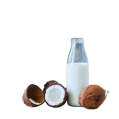Coconut Based Products